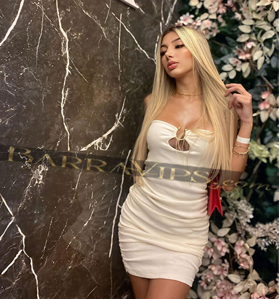 acompanhantes zona sul