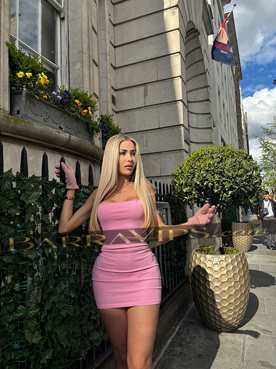 Acompanhantes jardins 