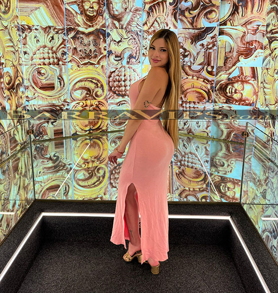 acompanhantes centro